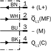 WTB4FP-22161120A00 (1119985)