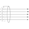 SAC-5P- 3,0-PUR/M12FS SH