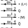 WL11-2K2432